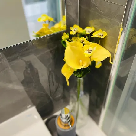 Acqua Marine * セシンブラ